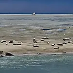 Appartamento LES COQUILLAGES, 2 salles de bains, lits faits et tout à pied