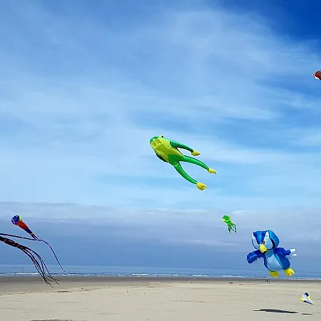 Les Coquillages, 2 Salles De Bains, Lits Faits Et A Pied Appartement