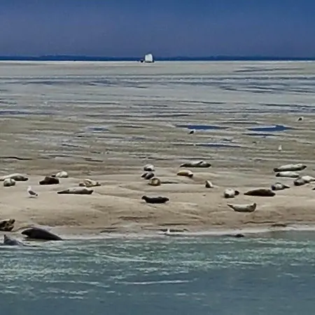 Appartement Les Coquillages, 2 Salles De Bains, Lits Faits Et A Pied