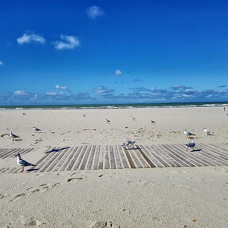 Les Coquillages, 2 Salles De Bains, Lits Faits Et A Pied Appartement