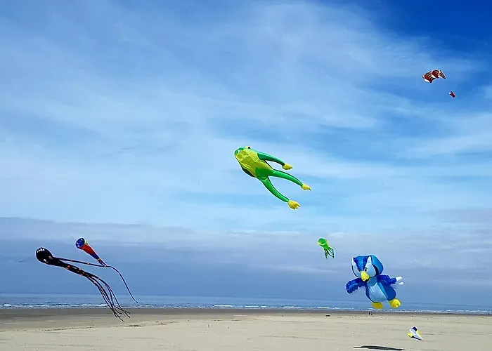 Les Coquillages, Plage Et Centre A Pied, 2 Salles De Bains, Lits Faits Apartamento