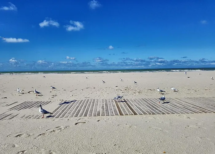 Les Coquillages, Plage Et Centre A Pied, 2 Salles De Bains, Lits Faits Apartamento